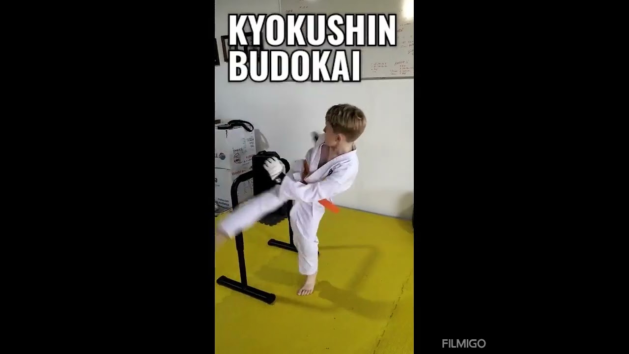 absolom Academy - ouverture de notre nouvelle section pour enfants : KYOKUSHIN BUDOKAI.