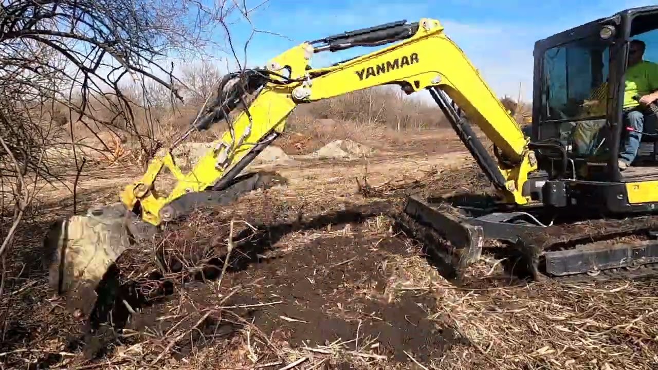 Yanmar VIO50-6 Pulling Some Trees
