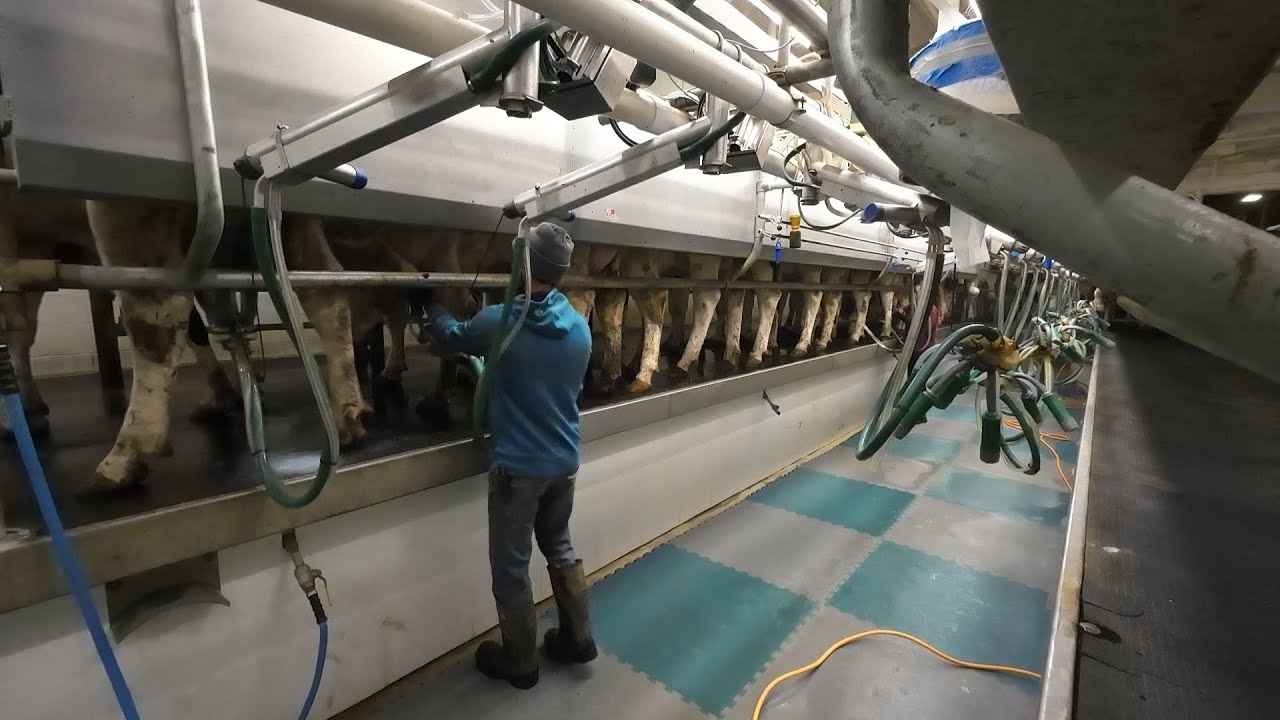 Забота о молочных продуктах