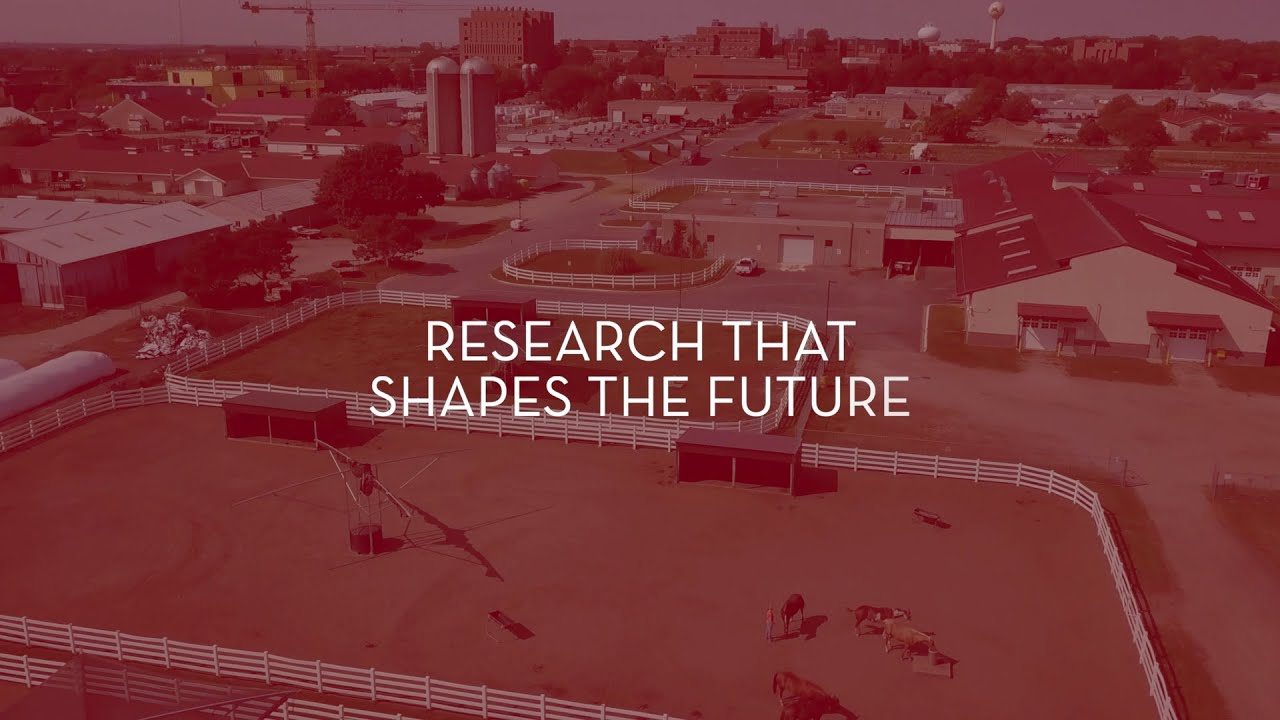 Research That Shapes the Future