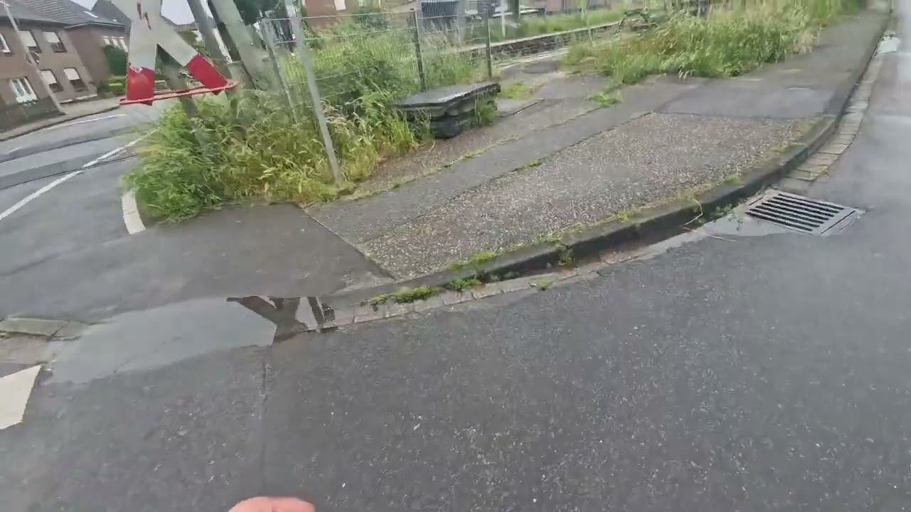 In Rees-Millingen Unterwegs zum SEV laufen und Umgebung Zeigen