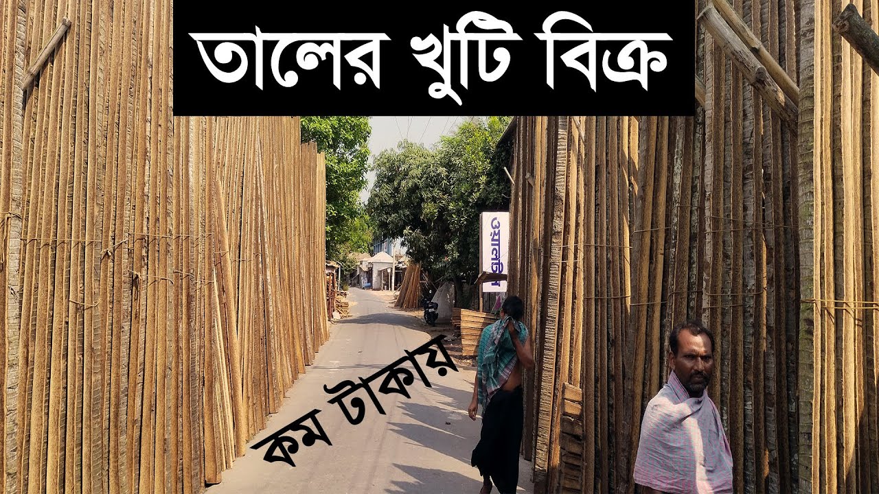 অল্প টাকায় তালের” খুটি বিক্র। রাথৌর বাজার, গোপালগঞ্জ, মুকসুদপুর।