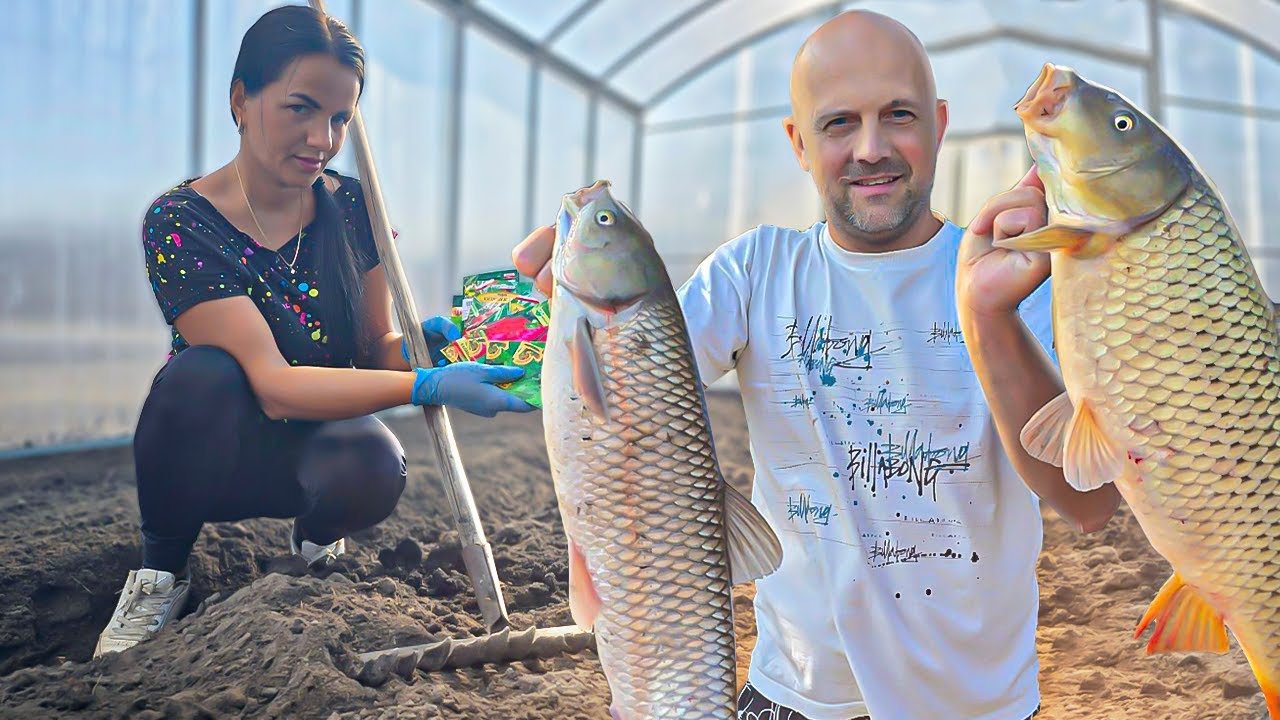 Happy FAMILY Life and domestic animals in the WILD 🌳🐾 | Discover Our Forest Adventures!