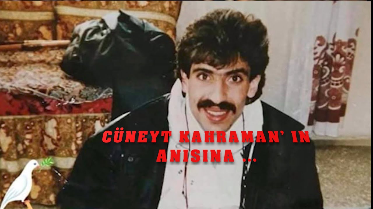 Ali Çiçek ( Ozan Garip ) - Gel Gör Beni Ne Haldeyim Loo
