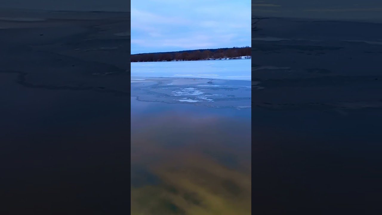Ока. Зимний подъем воды. Половодье. Бунырево 04.01.2023