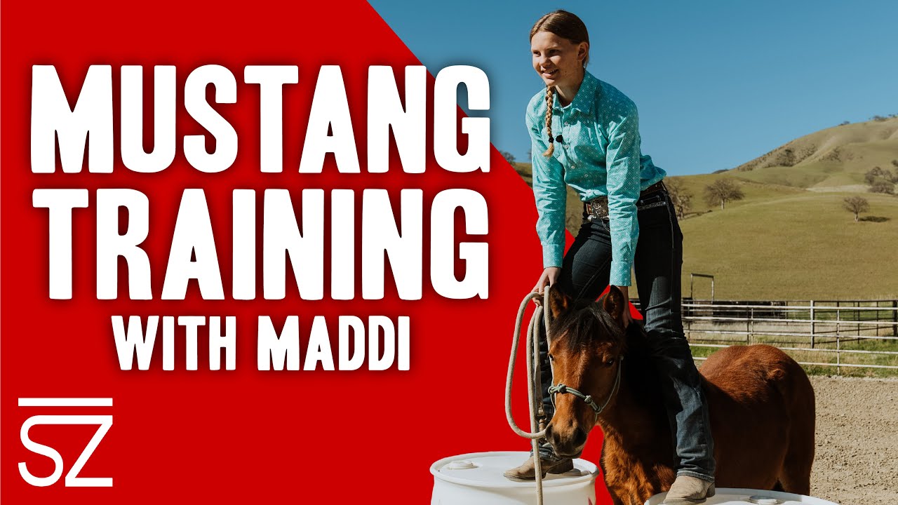 Training Wild Mustangs | 18 Day Training Update with Maddi