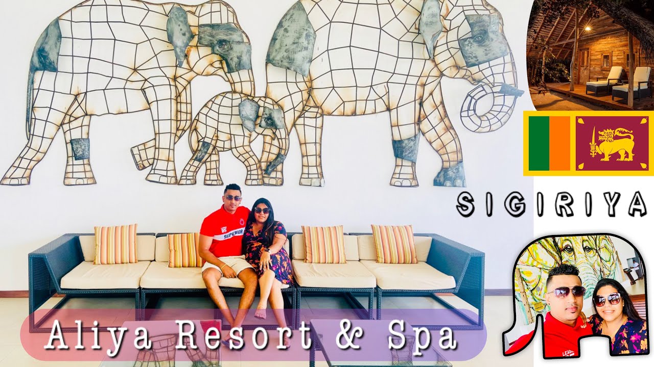 Aliya Resort & Spa🐘 | Wooden Chalet Sigiriya | SriLanka | තරු පහේ හෝටලය |VⱠØ₲-056@mrmrsdiaries4312