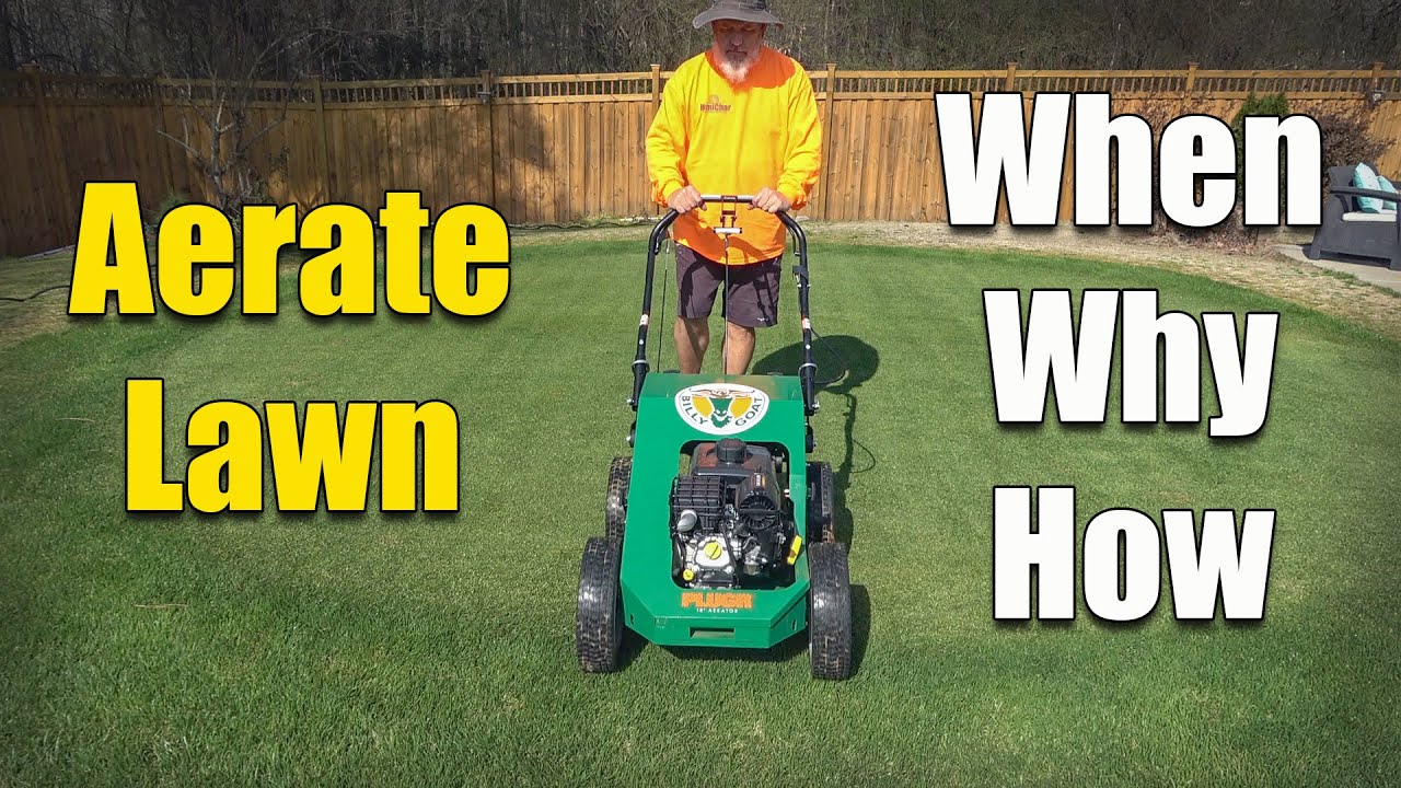 How and When to Aerate Your Lawn