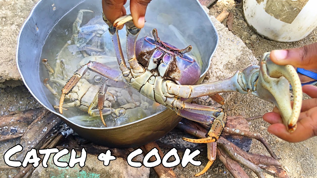 COOK WITH ME CATCH AND COOK GIANT LAND CRAB | EAT OR PASS?