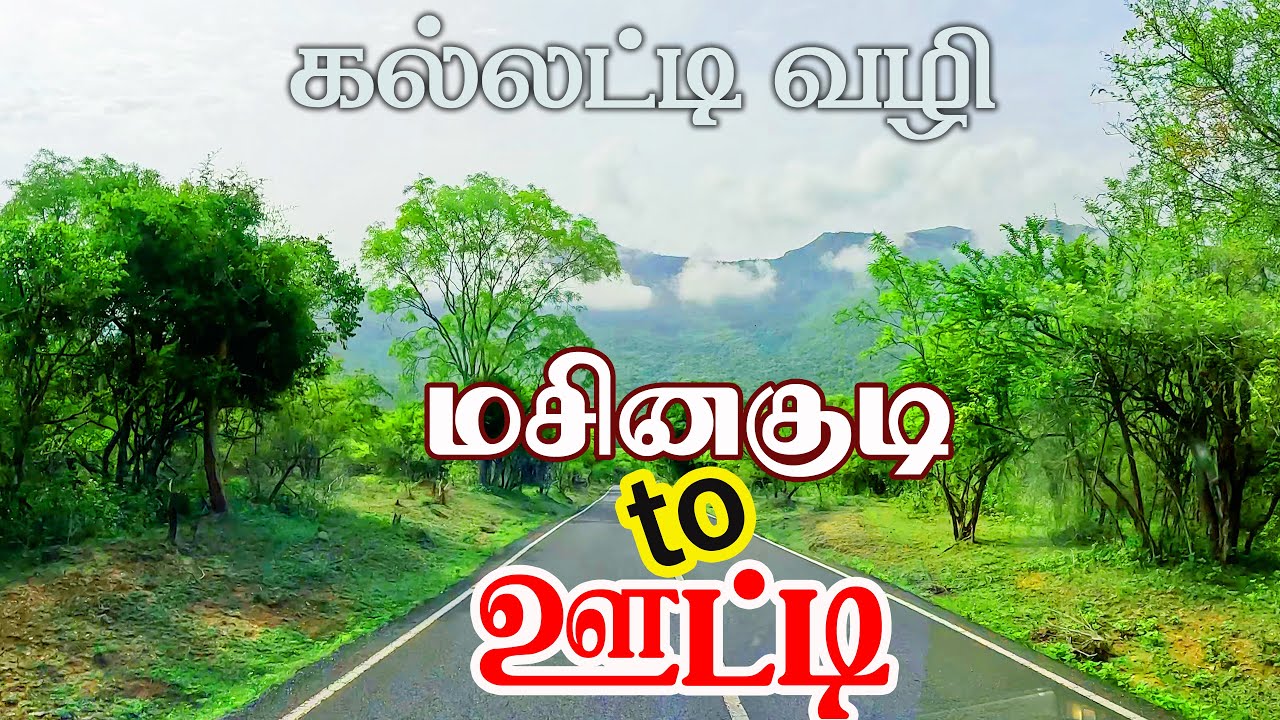 மசினகுடியிலிருந்து ஊட்டி பயணம் | Wonderful Travel from Masinagudi to Ooty | Ooty | gptamil vlogz