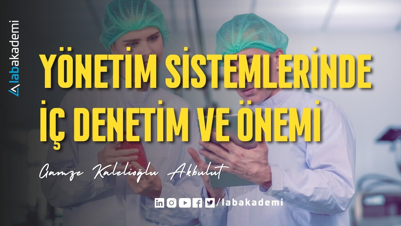 Yönetim Sistemlerinde İç Denetim ve Önemi