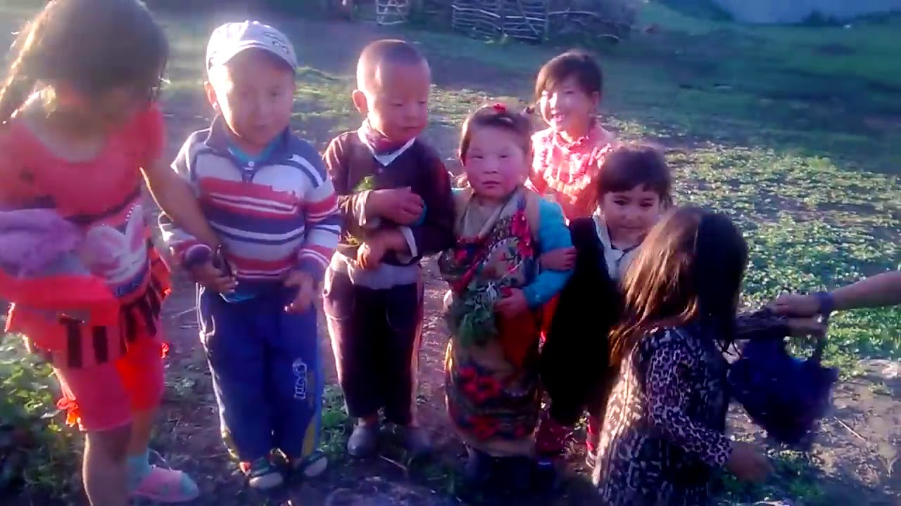 ТОЙ/ЖАЙЛООДОГУ/АЛАЙ/АРПАТЕКТИР 2014