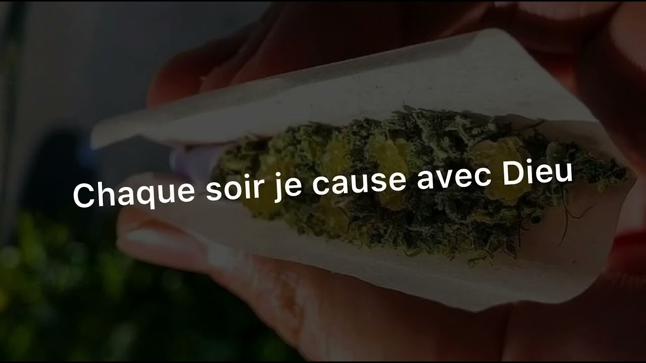 DDMG _Le pactole