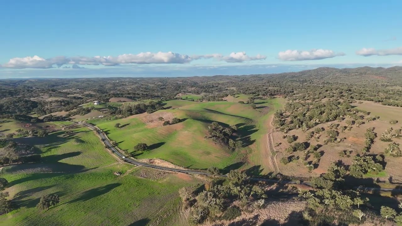 Alentejo green fields