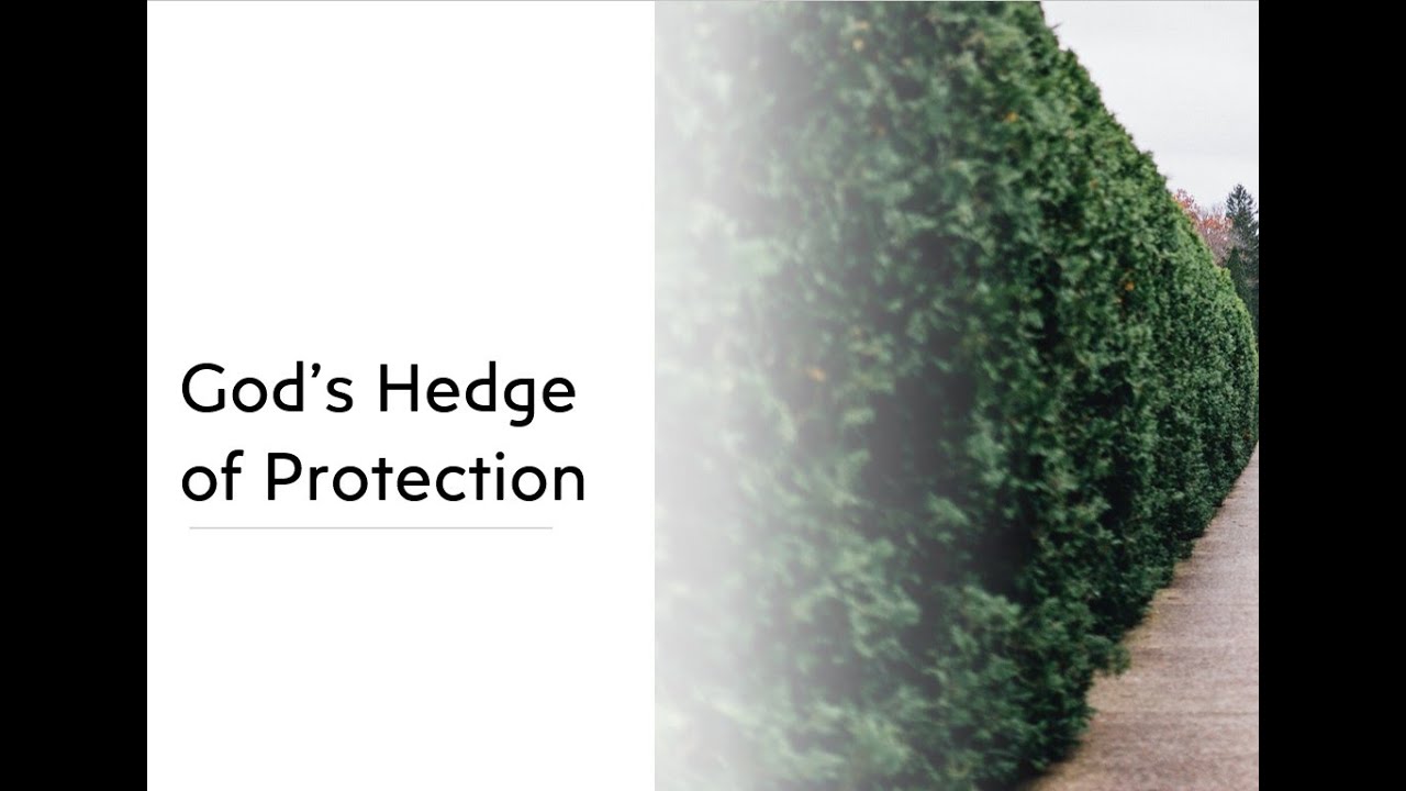 God's Hedge of Protection