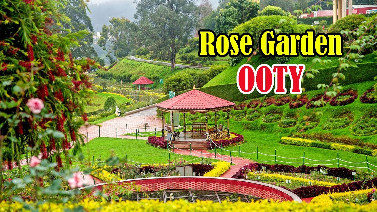 Ooty Rose Garden Walkthrough | Must Visit Spot in Ooty 2025