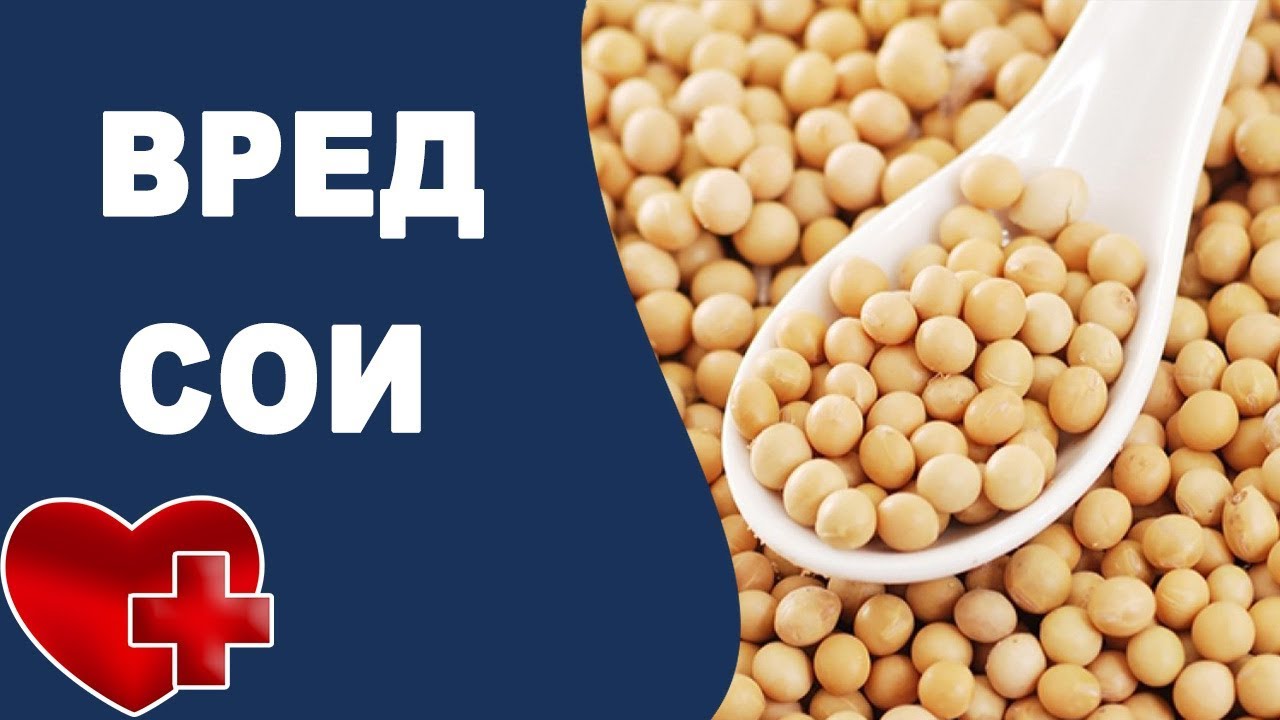 ПОЛЬЗА И ВРЕД СОИ