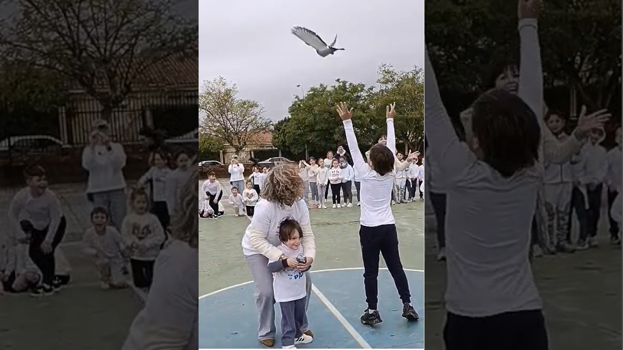 Video Promocional CEIP Reyes de España 2.026/27