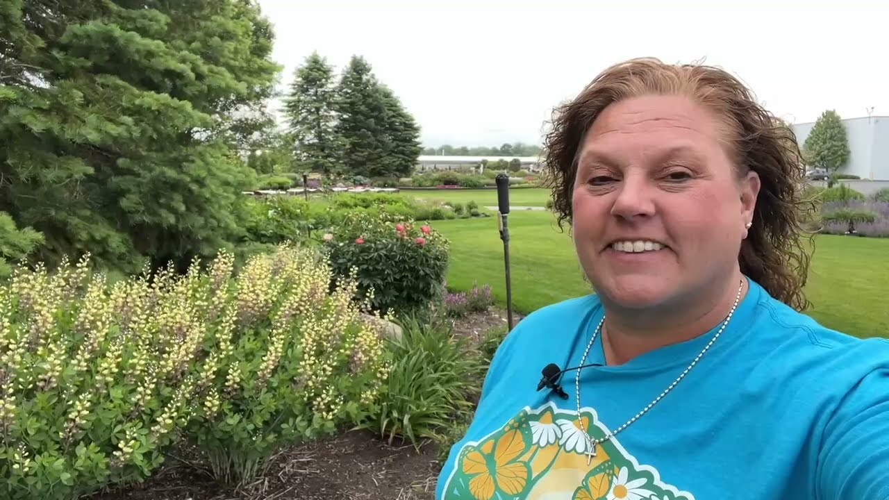 6 Early Summer Blooming Perennials