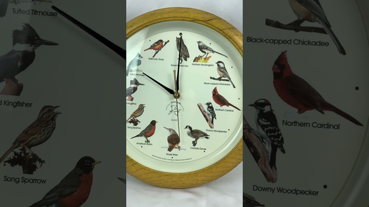 Audubon National Bird Society Wood Surround Wall Clock Makes Hourly Bird Noises