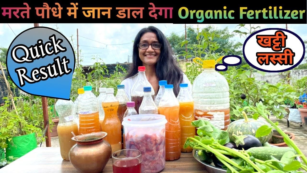 यह जादुई सोल्यूशन बढ़ाएगा पौधों की चमक और बढ़त | Free Homemade Fertilizer For all Plants