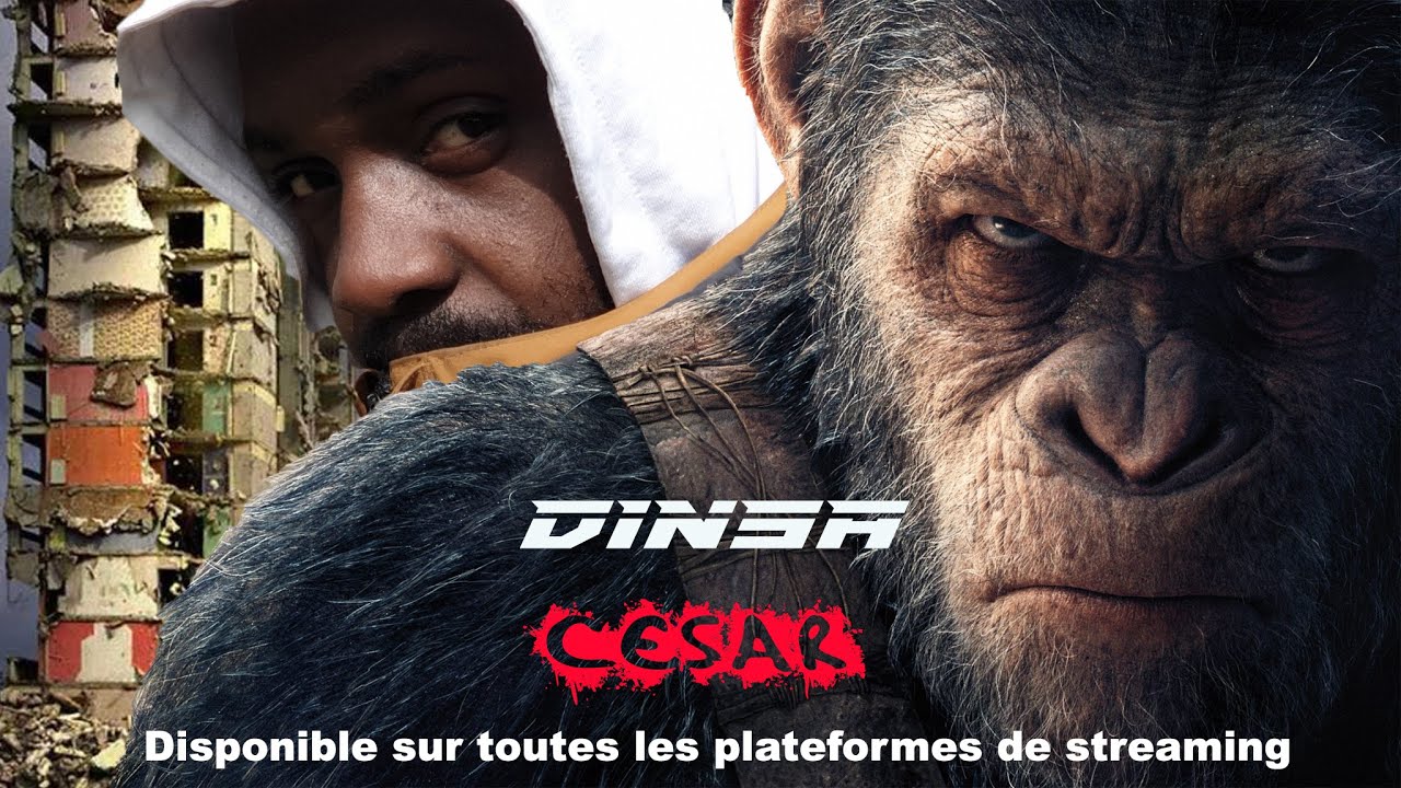 DINSA - CESAR