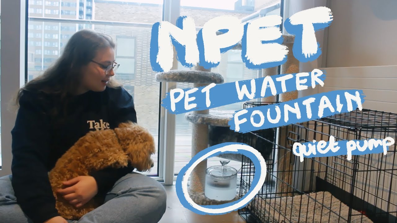 NPET Pet Water Fountain Quiet Pump Review