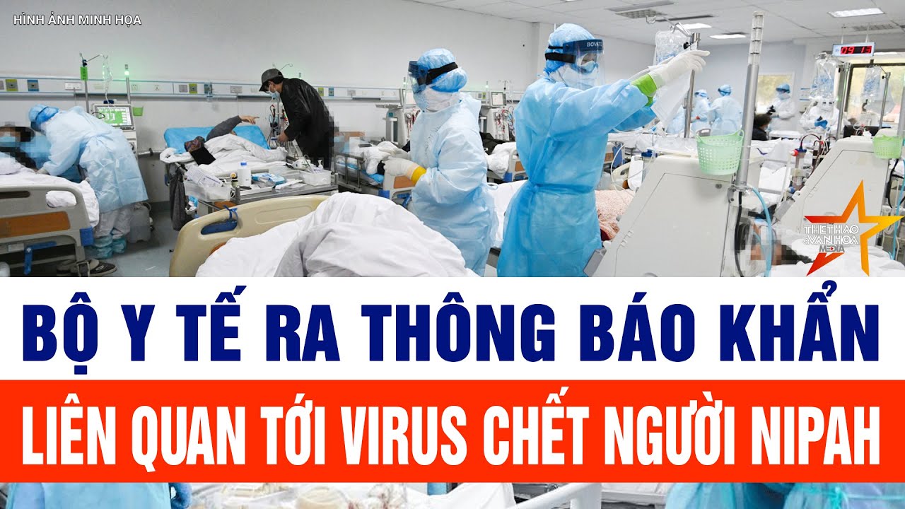 Bộ Y tế ra thông báo khẩn liên quan tới virus chết người Nipah