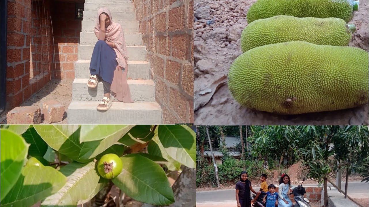 നല്ല പണി കിട്ടിയ ദിവസം 😔😔