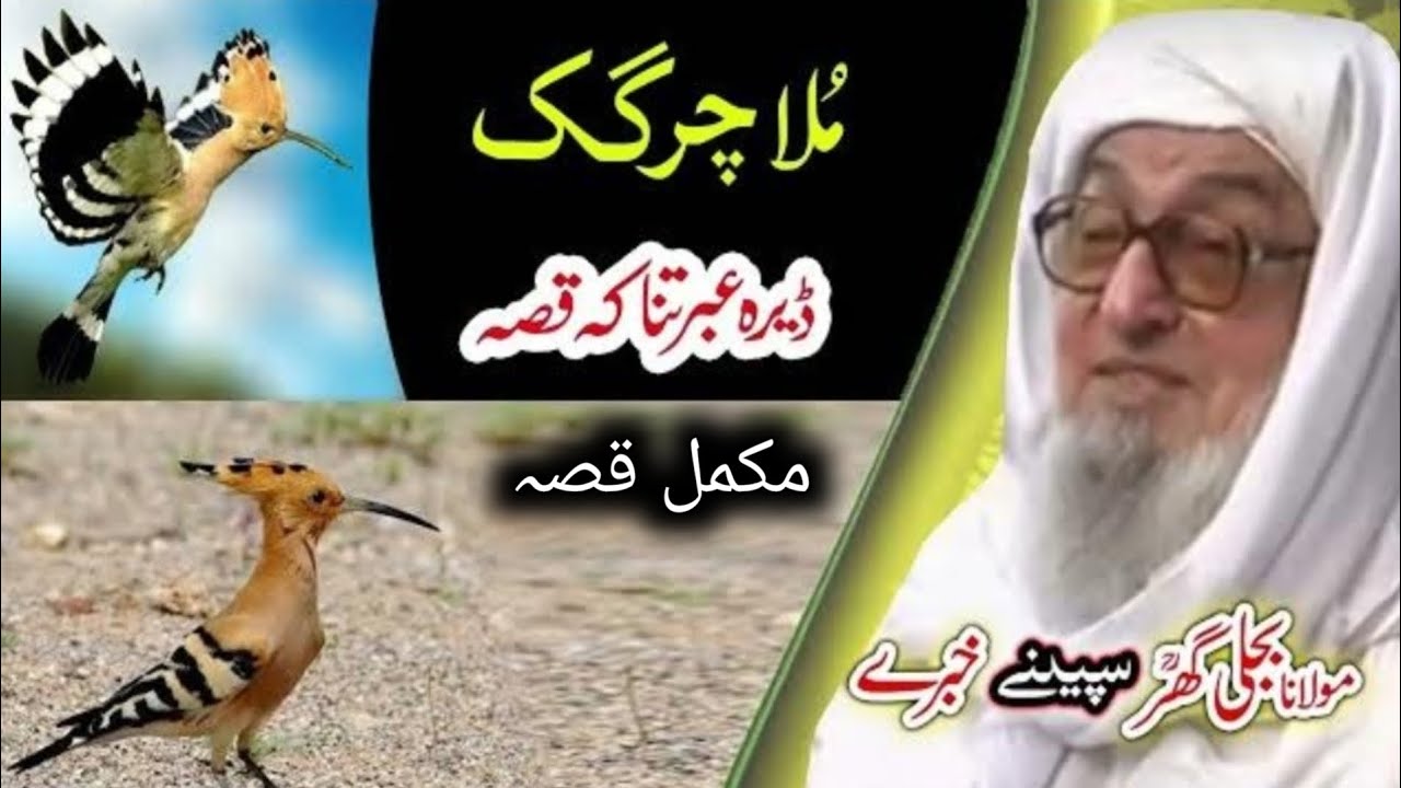 Molana Bijligar / يو ملا چرگک قصہ