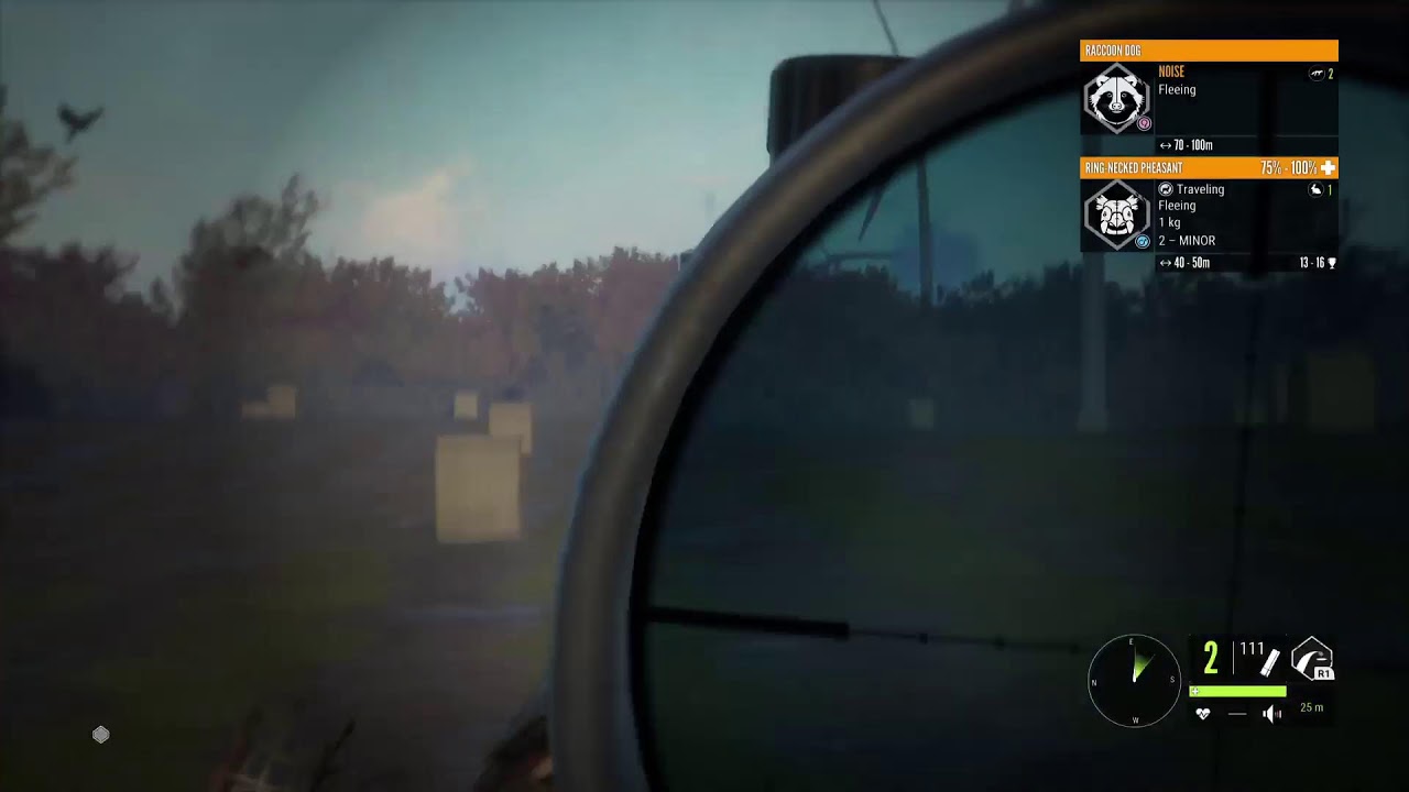 Hunting pheasant