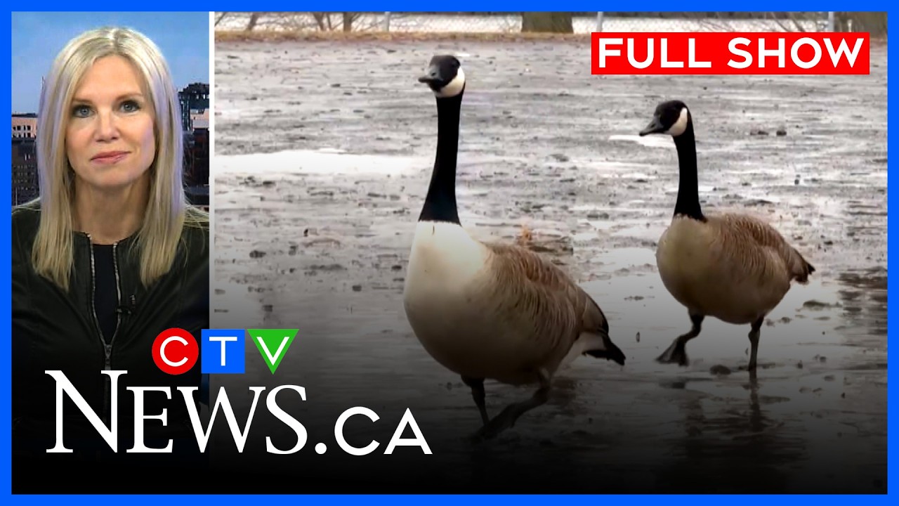 Will winter ever end? Ottawa braces for more snow | CTV News Ottawa at Six for Fri, March 20, 2026