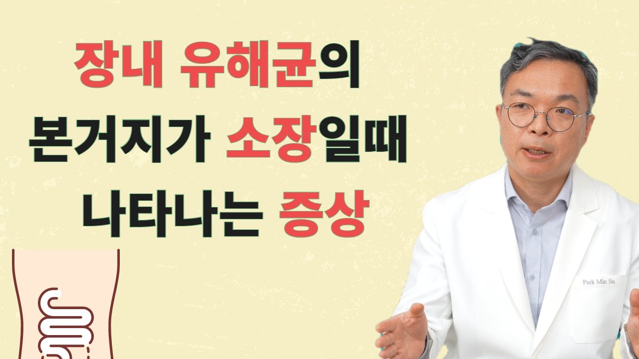 정서불안과 복부가스를 악화시키는 장내 유해균의 본거지가 소장일 때 나타나는 증상과 해결책