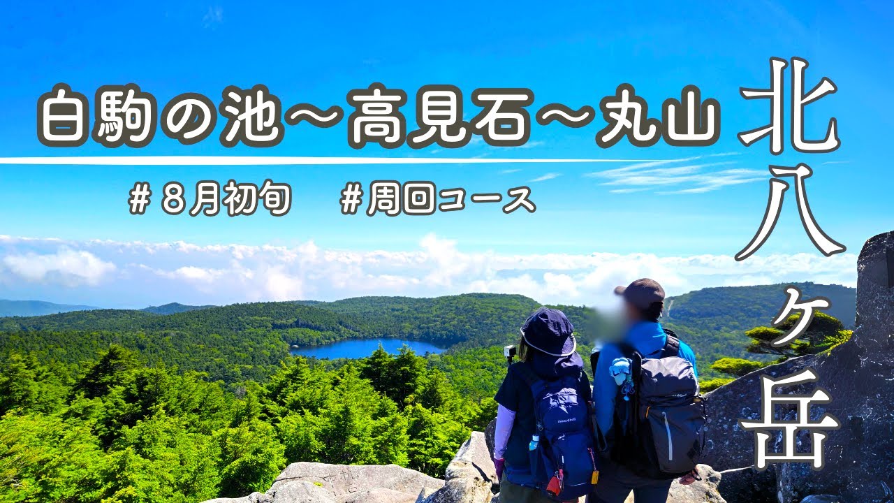 【北八ヶ岳の夏】白駒荘～高見石～丸山～麦草峠を周回 🏡美しい苔の森に感動