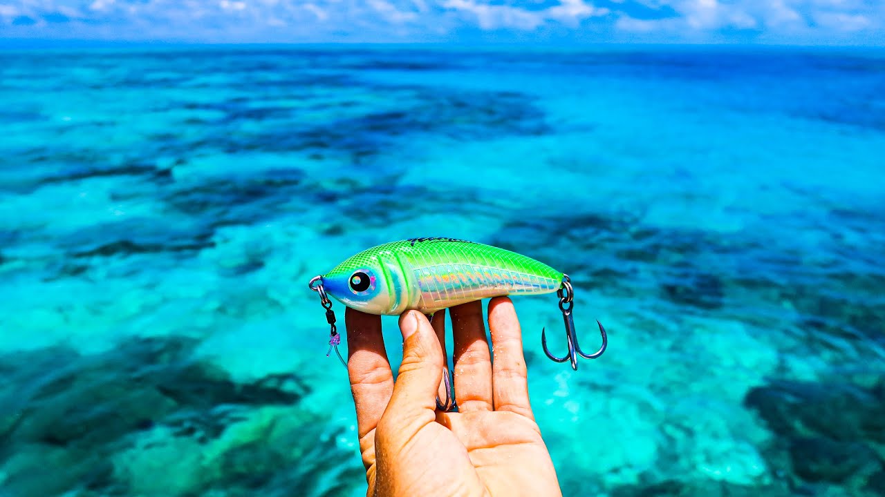 Fishing Lure that Never Fails (Reef Fish Catch n Cook).