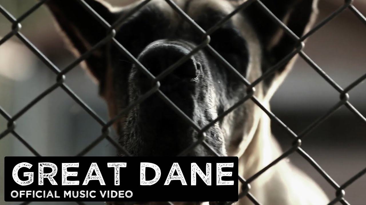 MikhMakh | Great Dane (Official Music Video)