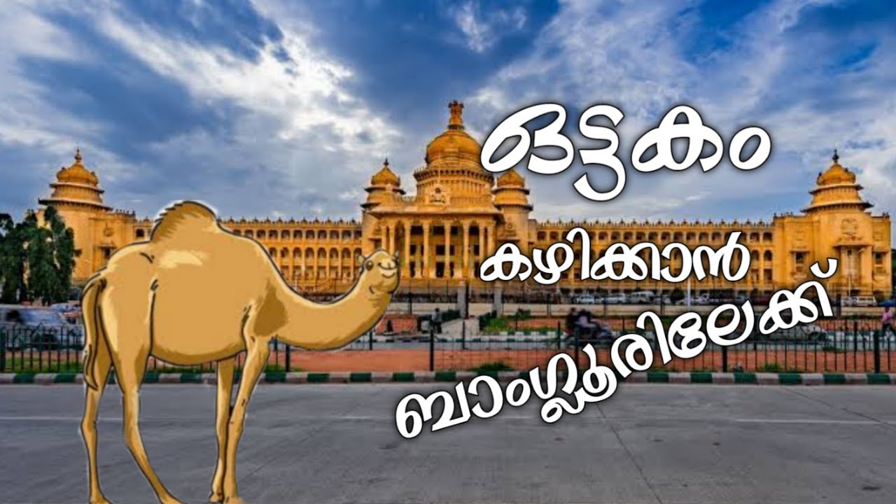 ഒട്ടകയിറച്ചിക്ക് വേണ്ടിയുള്ള ഓട്ടപ്പാച്ചിൽ ❗️Camel meat in Bangalore Frazer Town❗️ |Foodie Sha|