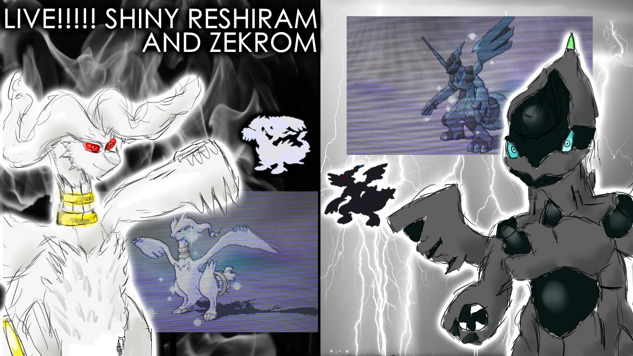 319 - [WSHC] 2 LIVE SHINY LEGENDARIES! Reshiram and Zekrom!