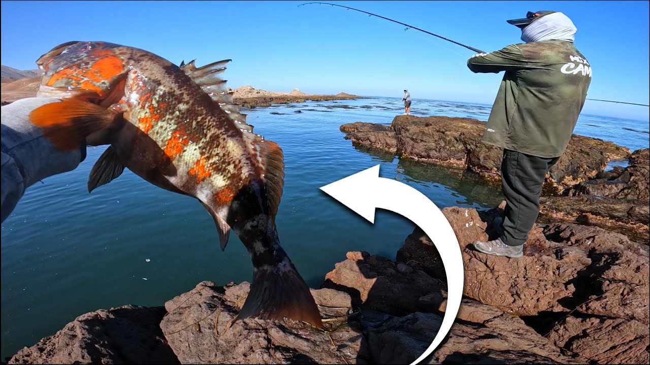 EP#62 •  ¡EN ESTE LUGAR ENCONTRAMOS CABRILLAS GRANDES Y MÁS PECES!