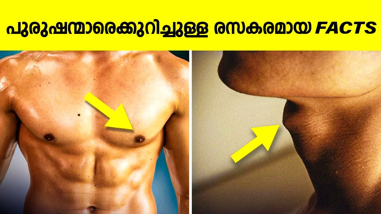 പുരുഷന്മാരെ കുറിച്ചുള്ള രസകരമായ വസ്തുതകൾ! Interesting Facts About Men