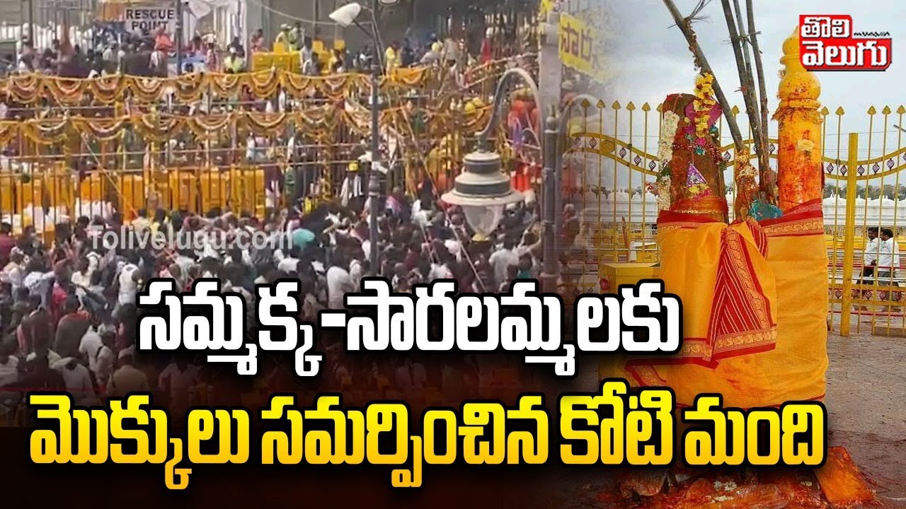 Medaram Sammakka Saralamma Jatara | సమ్మక్క-సారలమ్మలకు మొక్కులు సమర్పించిన కోటి మంది | #Tolivelugu