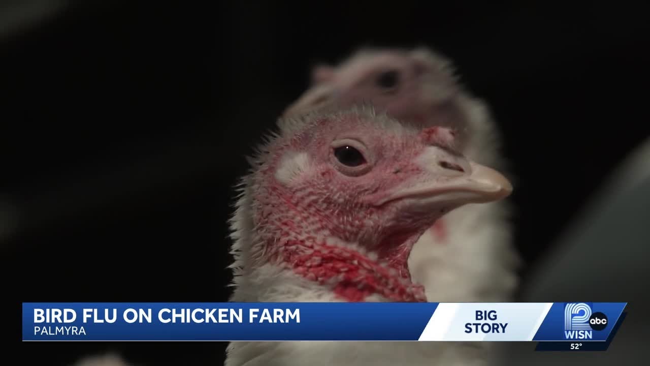 Bird flu outbreak strikes Jefferson County chicken farm