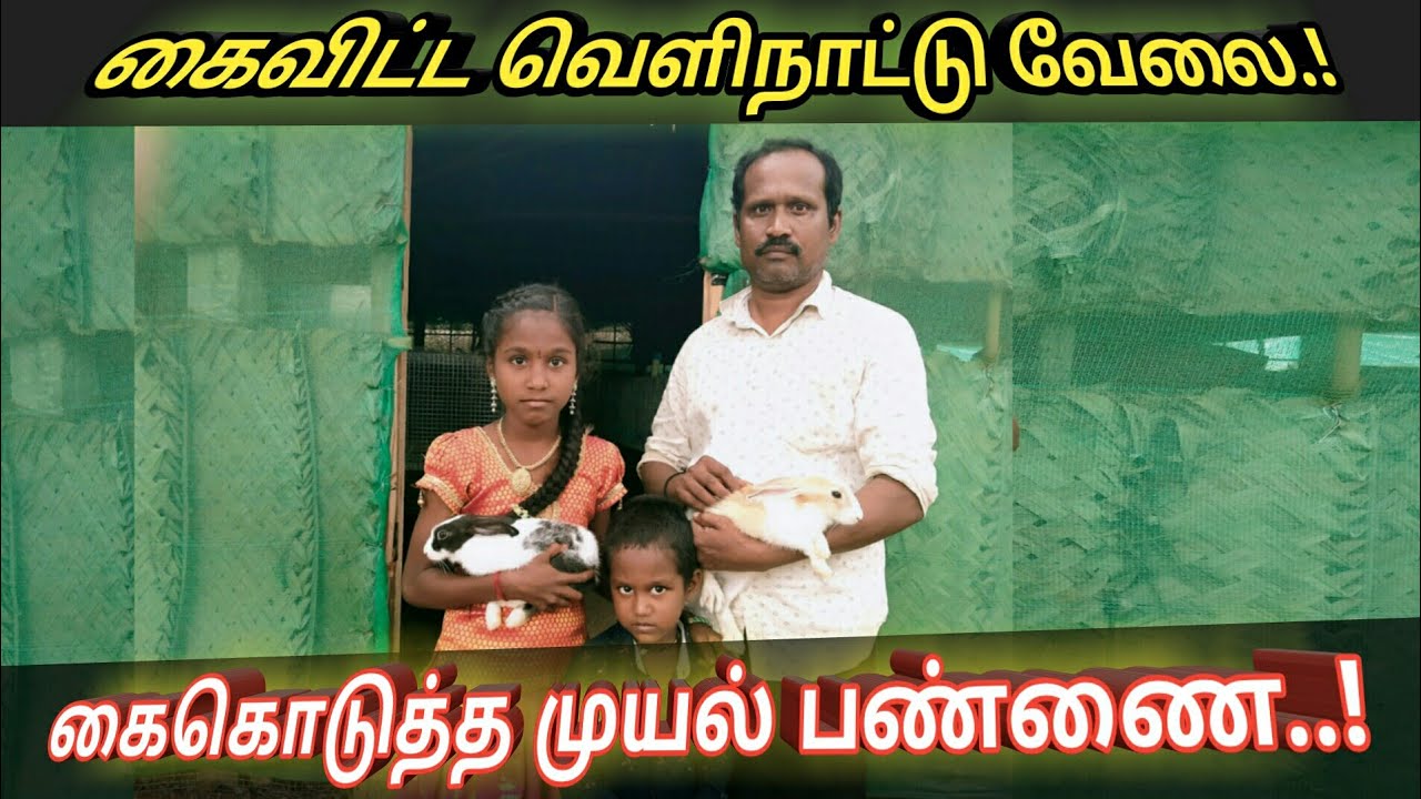 முயல் பண்ணையை இலாபகரமாக நடத்தி வரும் மதுரை தம்பதியினர்| Rabbit farm | Village Vivasayam |