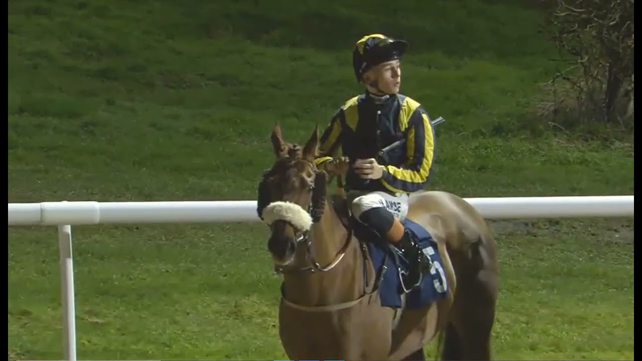 Wolverhampton 09 Feb 2026 -RACE 8