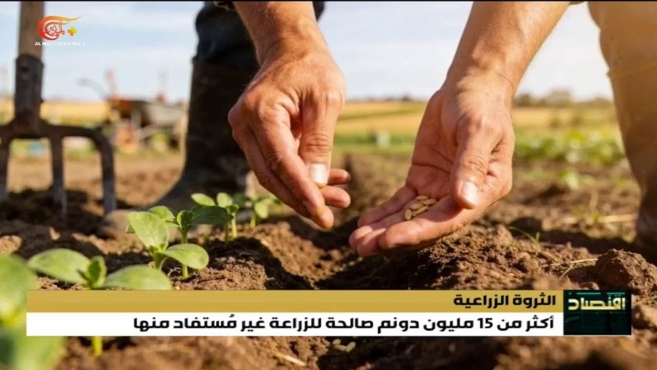 الثروة الزراعية العراقية..أكثر من 15 مليون دونم صالحة للزراعة غير مستفاد منها. | 2026-02-06