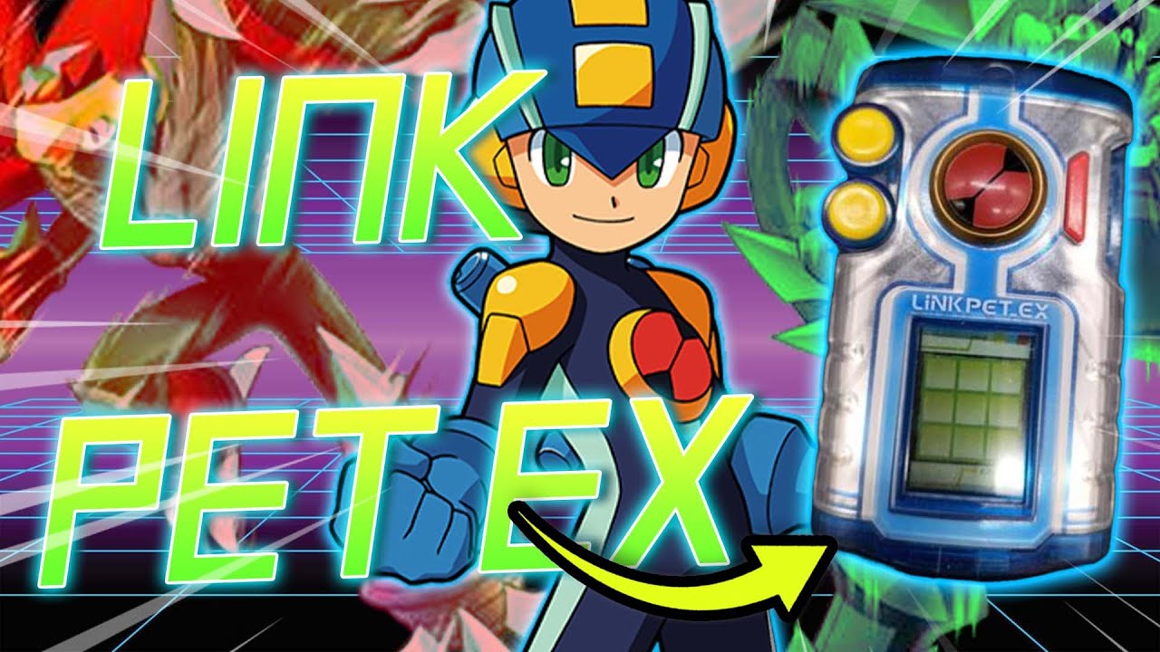 The FINAL MegaMan PET!
