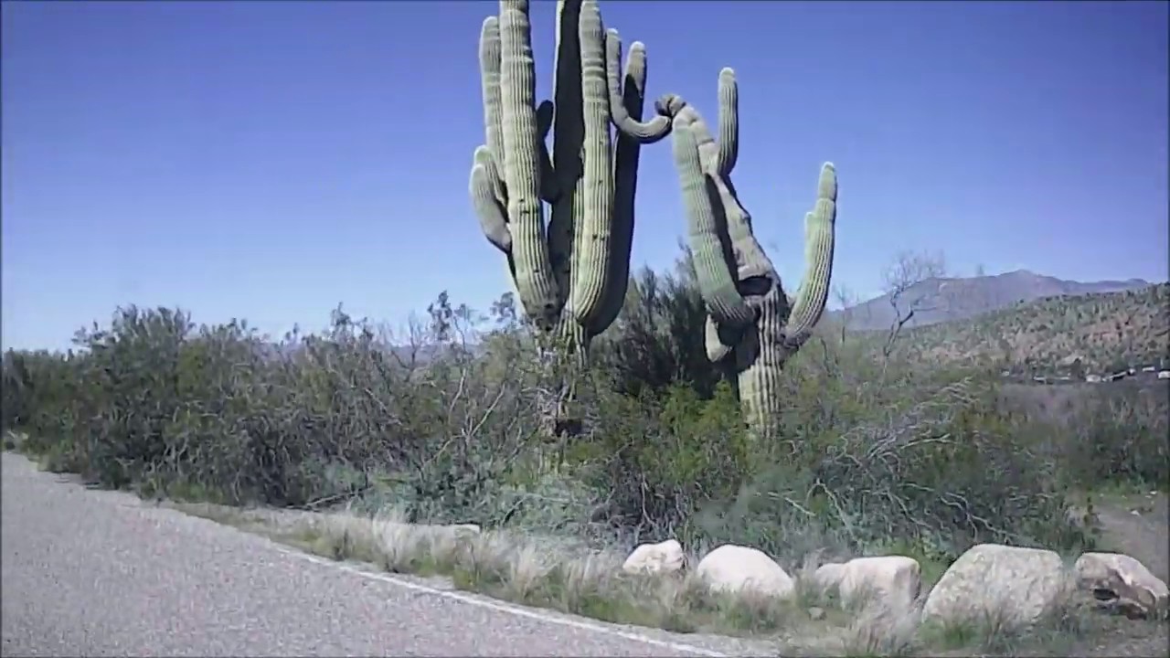 Exploring by Roosevelt lake Az