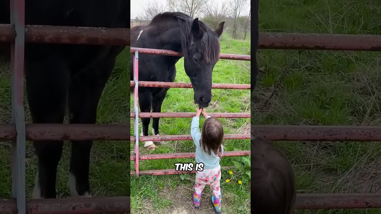Have you ever wondered why Horses cover their eyes during races? 😳