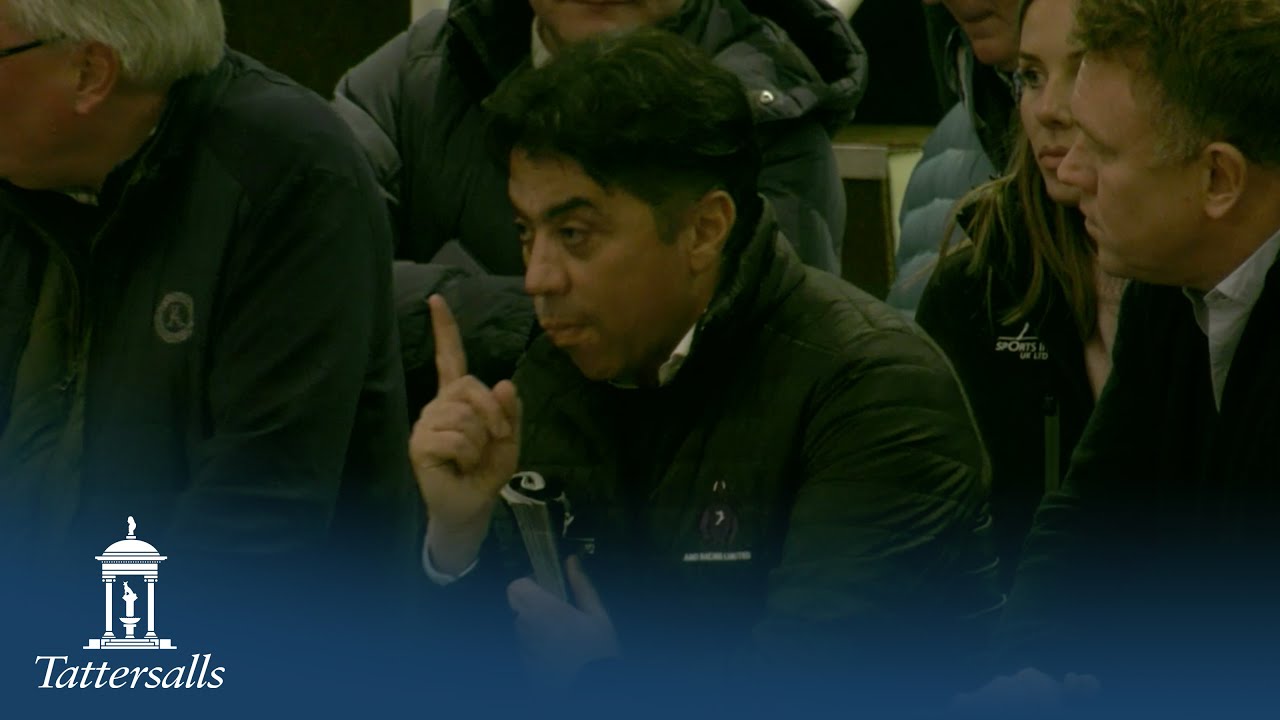 You Got To Me is bought for 4,800,000gns by Amo Racing at the Tattersalls December Mares Sale