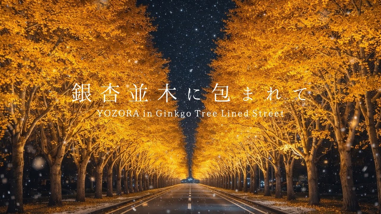【銀杏並木ｰYOZORAｰ】🌌Ginkgo Tree Lined Street  Relaxing BGM｜銀杏並木の中で音楽に癒されましょう🌙｜作業用・勉強用BGM